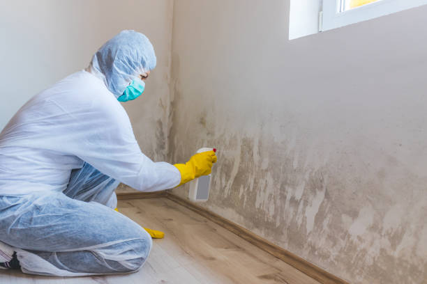 Hvac And Air Duct Mold Remediation inspection of HVAC system in Shippensburg